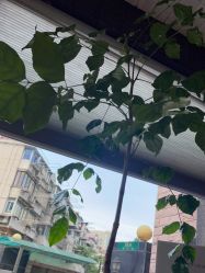 -香秀空间科技抗衰·美容中心