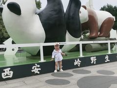 -西安秦岭野生动物园