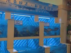 -野渡坡·极致湘菜·庭院餐厅(汉阳店)