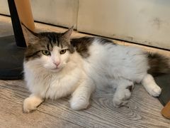 -小时光咖啡馆(北锣鼓巷店)