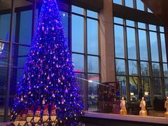 -锦州喜来登酒店