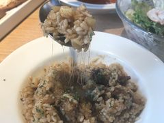 -幸薈飯堂