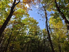 -六鼎山文化旅游区