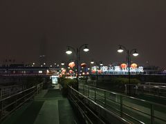 -武汉两江游览·夜游长江(汉口粤汉码头)