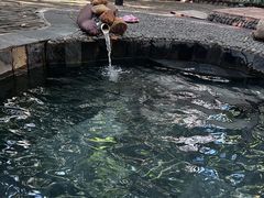 -嘉和K6温泉微度假