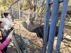 -长白岛森林公园