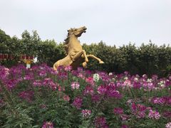 -广东花都香草世界旅游度假区