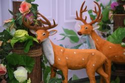 -雅奇婚庆(永乐园社区店)