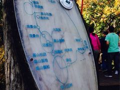 iphone_upload_pic-凤凰山国家森林公园
