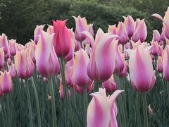 -长春公园(普阳街道)