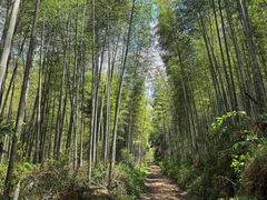 -公盂村