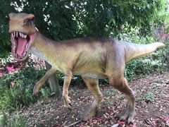 -自贡恐龙博物馆