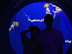 -成都浩海立方海洋公园