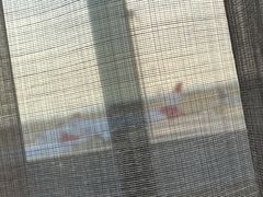 -维也纳国际机场