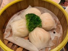 水晶鲜虾饺-香港新曜记茶餐厅(星耀城店)
