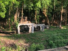 -清迈夜间动物园