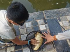 -酷鱼垂钓CLUB(朝阳区博大路店 )