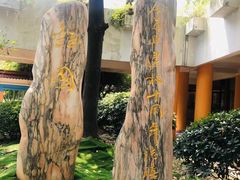 -上海市民办金苹果学校