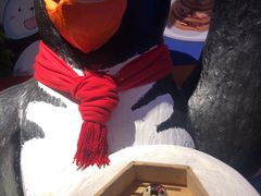 -帝企鹅自助餐厅•儿童岛•真企鹅(长隆企鹅酒店)