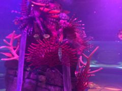 -沈阳海洋探索中心