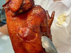 -顺城金记卤鸡·清真