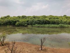 -丁香湖公园