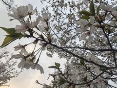 -堤角公园