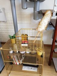 -Yukina Plus专业日式美肌