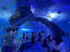 -多彩贵州城极地海洋世界