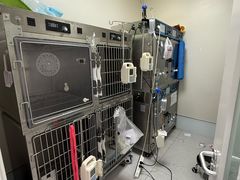 -达爱动物医院·犬猫分区·CT·复杂眼科(远洋山水分院)