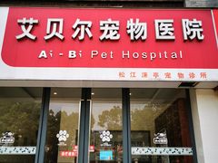 -瑞鹏宠物医院·骨外科·心肾科·肿瘤科(九亭店)