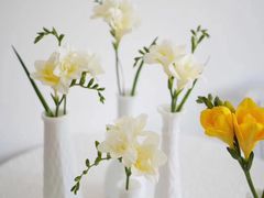 -花生FM_FLOWERS