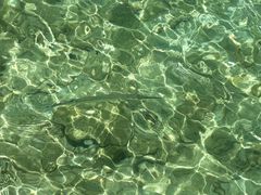 -东姑阿都拉曼海洋公园