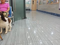 -瑞派名望志远动物医院·猫科·內科·异宠专科(直港大道店)