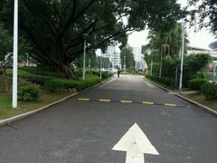 -福建省奥林匹克体育中心-体育馆