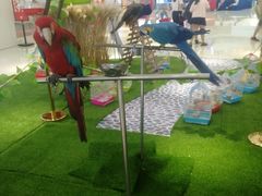 -万达广场(盐城盐都店)