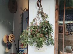 -竹子咖啡bamboo coffee