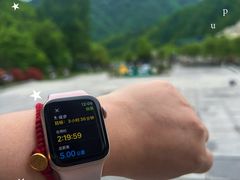 -牛背梁国家森林公园