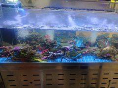 -徐记小怪兽肉蟹煲(中央大街店)