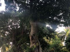 -白沙门生态公园