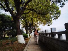 -江心屿景区