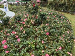 -人民公园(罗湖区)