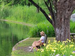 -上海共青森林公园