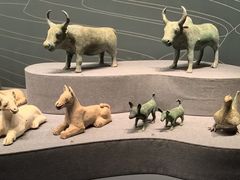 -广西壮族自治区博物馆