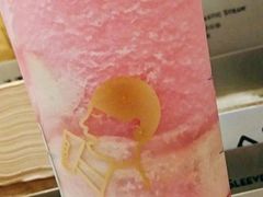 芝芝桃桃-喜茶(广州白云机场T2出发厅店)