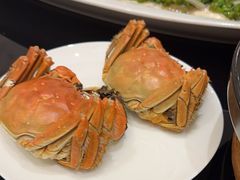 -新雅粤菜馆(南京东路店)