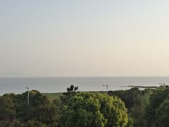 -苏州太湖国家湿地公园