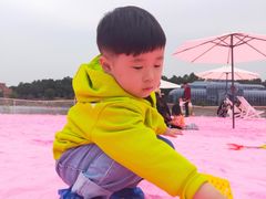 -大塘金香草谷