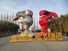 -黄海国家森林公园