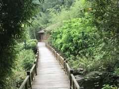 -厦门国家会计学院